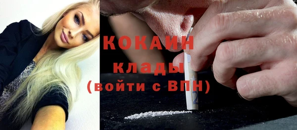 сатива Богородицк