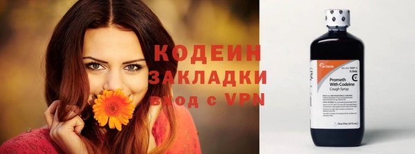 амф Богданович