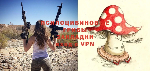 сатива Богородицк