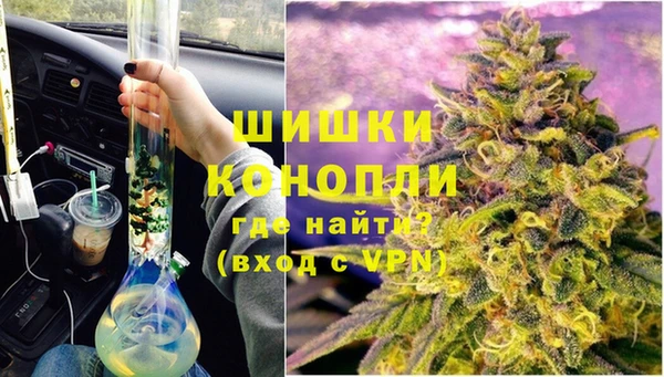 сатива Богородицк