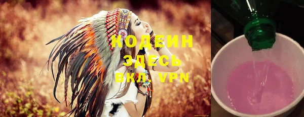 дживик Богородск