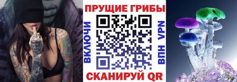 Галлюциногенные грибы мицелий цены наркотик Светлый